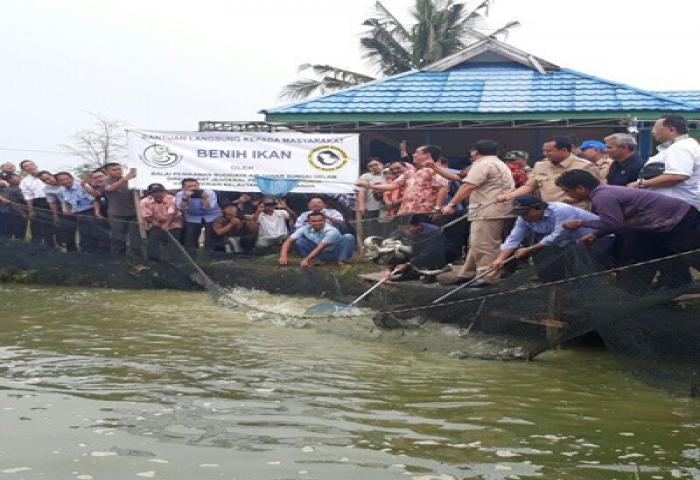 Jambi Berpotensi Jadi Lumbung Patin Nasional